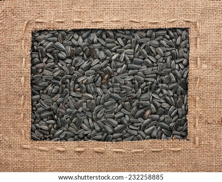 Frame made of burlap with the line lies on sunflower seeds, can be used as background