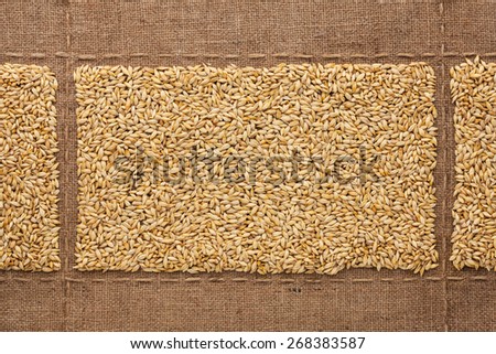 Barley grains on sackcloth, with place for your text, drawing