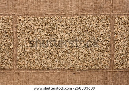 Rye grains on sackcloth, with place for your text, drawing