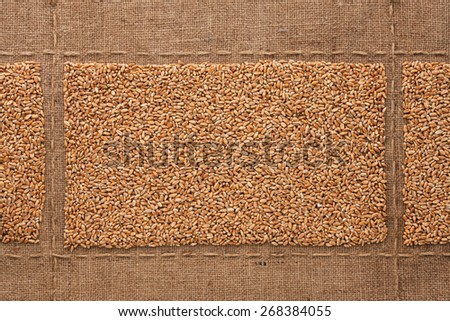 Wheat grains on sackcloth, with place for your text, drawing