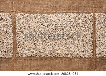 Sunflower seeds on sackcloth, with place for your text, drawing