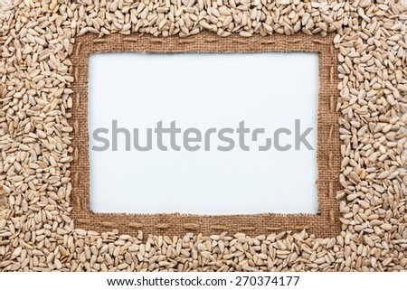 Frame made of burlap with the line and sunflower seeds lies white background, with place for your creativity