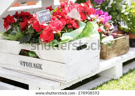Wooden boxes with flowers of different colors on a street flower market