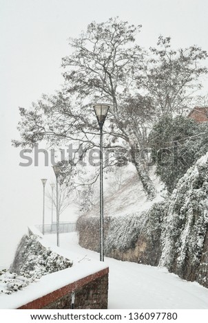 City path with street lamps and tree in snow