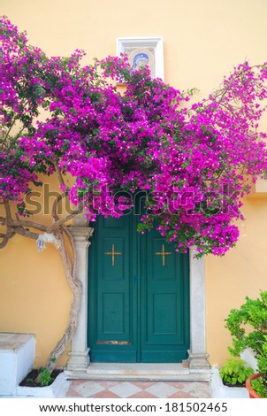 Greek monastery door with beautiful purple flowers