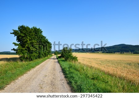 Straight service road in the middle of the fields under a blue sky