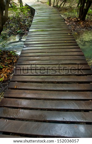 Wood path after raining through tropical forest