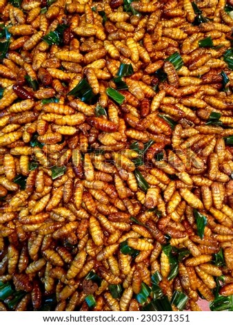Silkworm pupa fried,delicious food