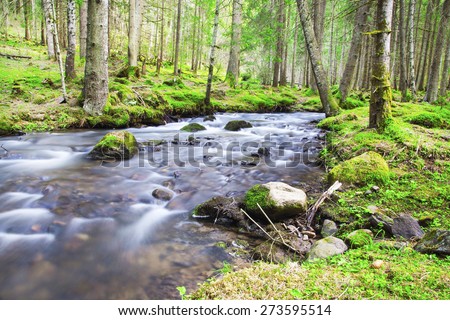 Forest River Flowing Scene, Fresh Spring Landscape River in the Mountain Forest