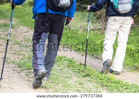 Outdoor Hikers with Trekking Poles and Trekking Equipment Walking in the Forest