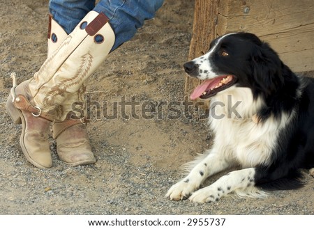 A pair of worn cowboy boots and the owners dog