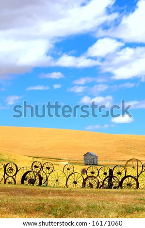 Vertical landscape of wheat fields and Old Wagon Wheel fence under puffy clouds and blue sky