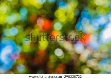 Soft focus photo of bright forest with sunlight, abstract natural background, blurred grunge image,