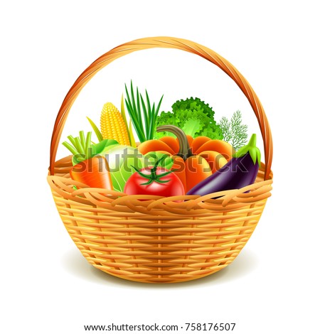 vegetables in wicker basket isolated photo-realistic vector illustration