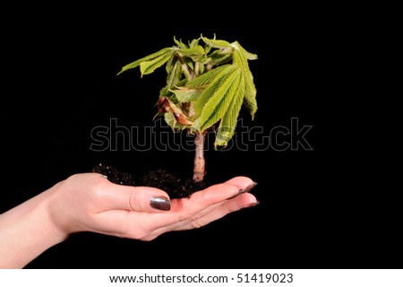 Hand with plant isolated on black background
