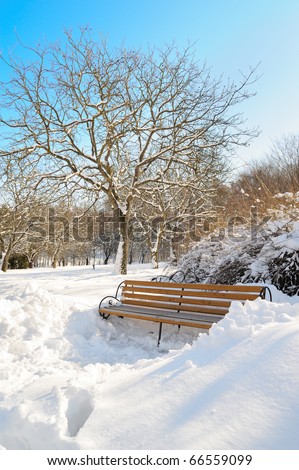 Beautiful winter landscape with snow covered bench and trees
