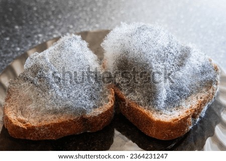 Similar – Foto Bild Ein Stück schimmeliger Parmesan Käse auf einem blauen Hintergrund