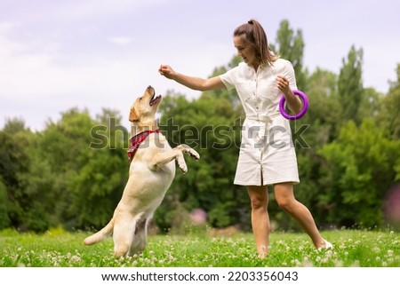 Image, Stock Photo Owner giving food to dog