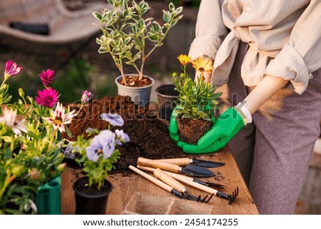 Similar – Image, Stock Photo garden tools Garden