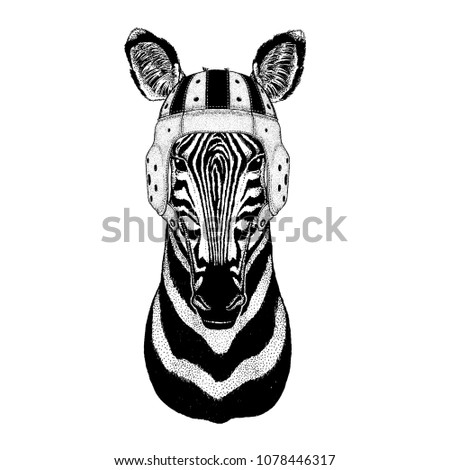 Cool animal wearing rugby helmet Extreme sport game Zebra Horse Hand drawn illustration for tattoo, emblem, badge, logo, patch