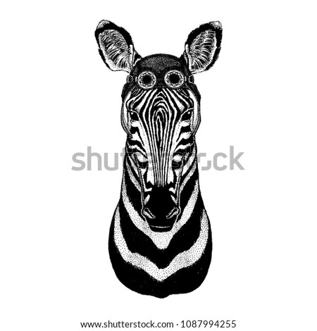 Cute animal wearing motorcycle, aviator helmet Camelopard, giraffe Hand drawn image for tattoo, emblem, badge, logo patch