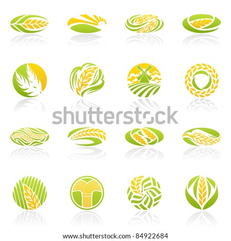 Wheat and rye. Elements for design. Icon set.