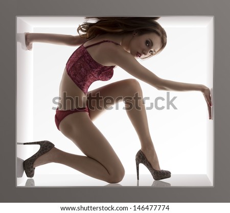 creative portrait of sexy brunette lady with red corset and pants in sensual pose fitted in a small white box