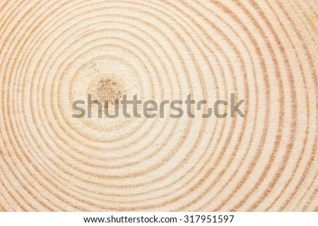 Wood ring texture