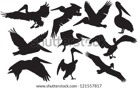 Flying Pelican Silhouette Free Vector / 4Vector