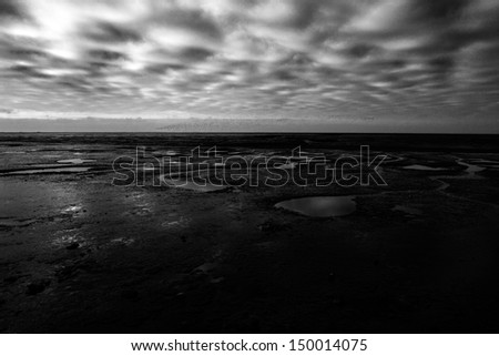 black and white scene of birds in formation over the Wash estuary mud flats at low tide, Humberside, England