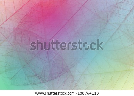 abstract leaf and bubble transparent pattern