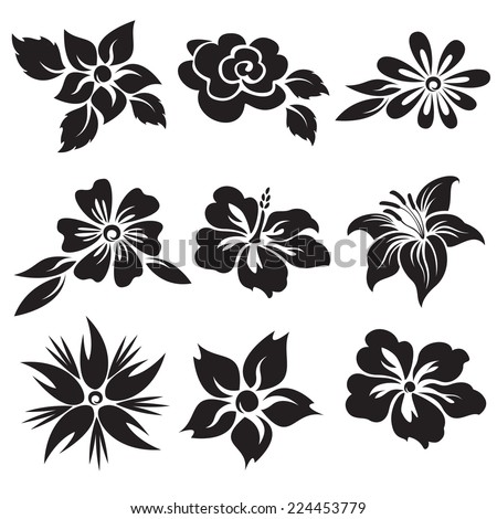 Vector set of black and white flowers.