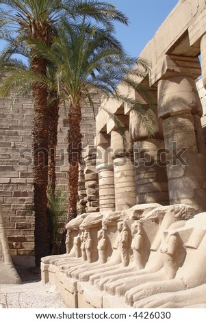 Various scenes of Luxor, in Egypt. Including the Karnak and Luxor Temple, Hatshepsut Temple and statues.