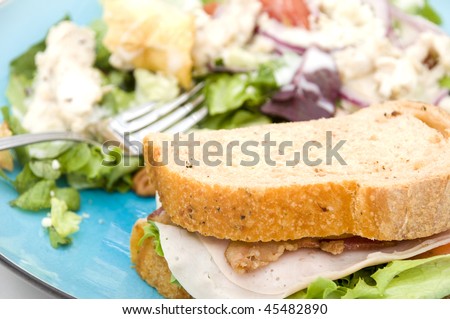 Turkey Bacon Sandwich with Salad