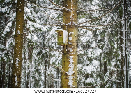 Bird house in winter in the forest on the pine