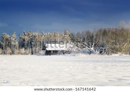 Destroyed wooden house in the middle of the forest