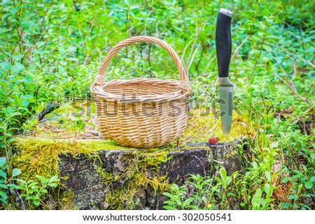 Empty basket on the stump in the forest