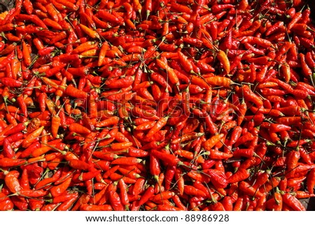 long red chillies