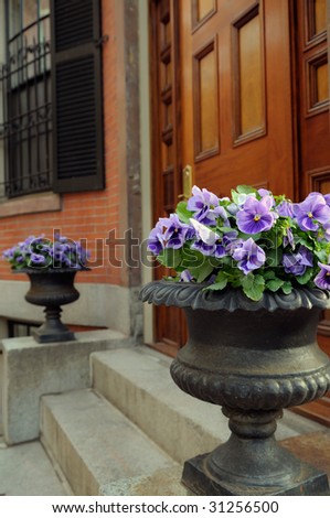 Elegant garden urn with purple pansies framing front door entrance
