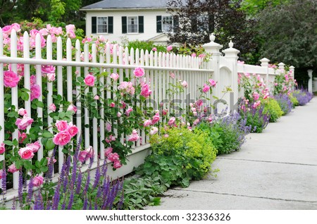 Garden fence and gate with pink roses, salvia, catmint, lady\'s mantle bordering house entrance