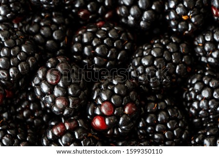 Image, Stock Photo Blackberries close-up image. Ripe blackberry fruits