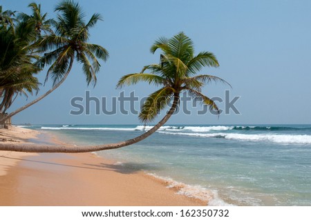 Palms, blue ocean and sand - ideal beach and place for vacation.