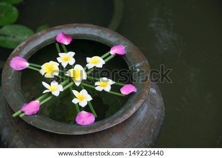 Tropical flowers floating in water at an Asian resort / Flower decoration
