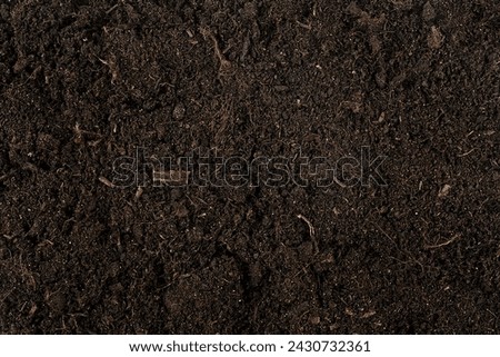 Similar – Image, Stock Photo View of the dirt road going through the mountain forest