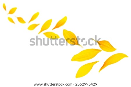 Similar – Image, Stock Photo sunflowers Sunflower