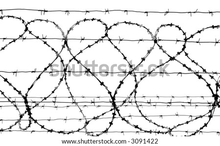 Barbed wire isolated on white, gray-scale