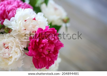 white and red peony petals closeup, flowers