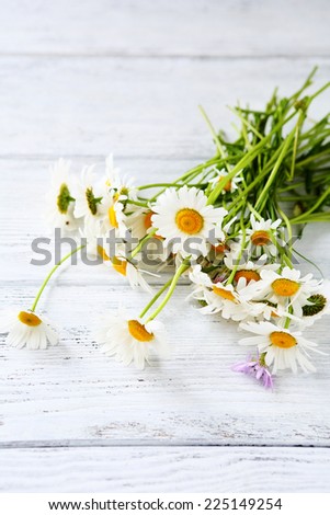 Bouquet of field daisies, top view