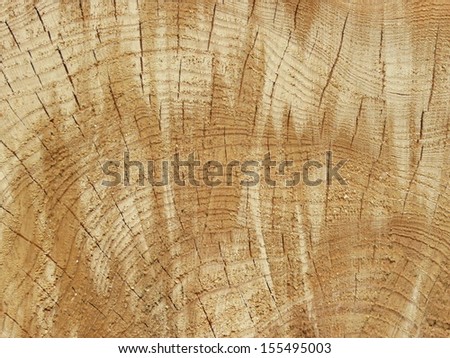 Detail of wood with growth rings