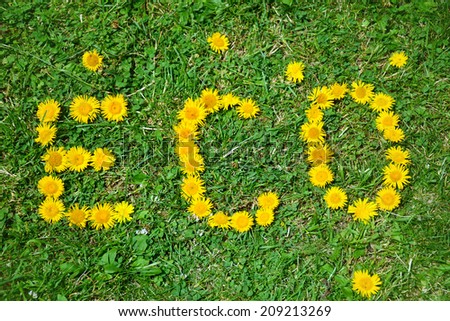 eco friendly icon made with yellow flowers